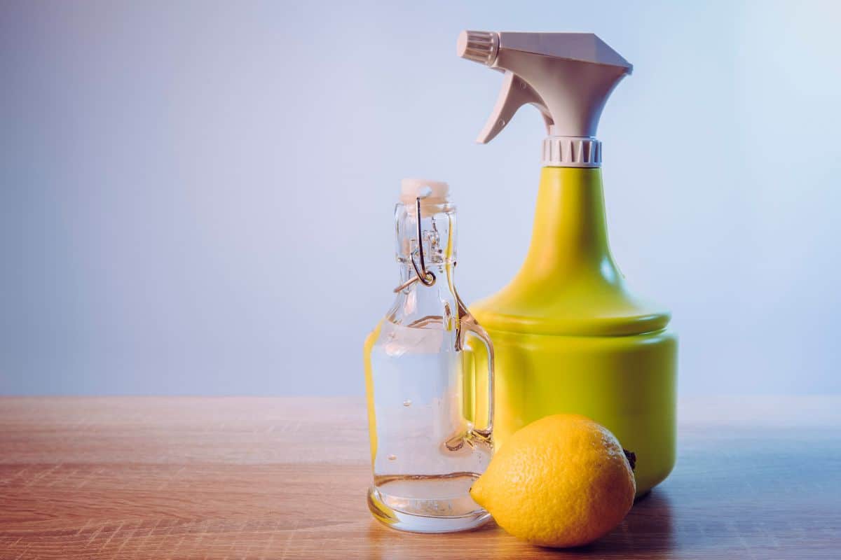 vinaigre de citron