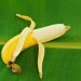 bienfaits banane
